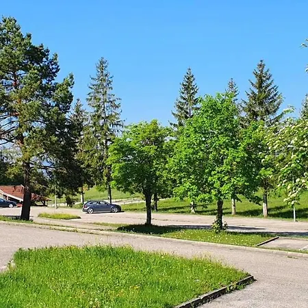 Vakantiehuis Feriendorf Hochbergle Haus 26 *